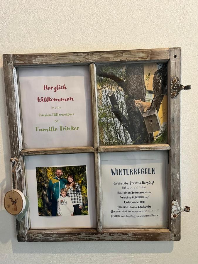 Pension Mitterwallner Шладминг Экстерьер фото
